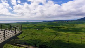 Mostra de Cinema de Desporto, 26 a 28 de abril – AZORES 2023